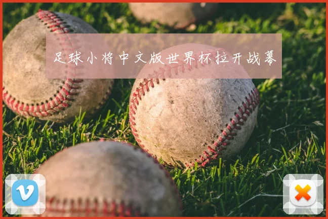 足球小将中文版世界杯拉开战幕