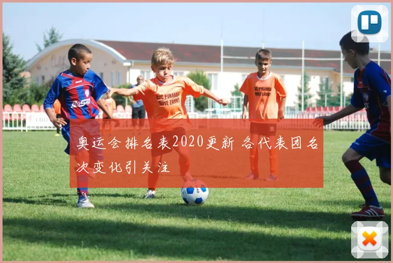 奥运会排名表2020更新 各代表团名次变化引关注
