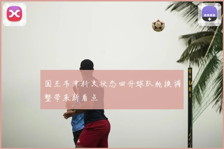 国王韦津科夫状态回升球队轮换调整带来新看点