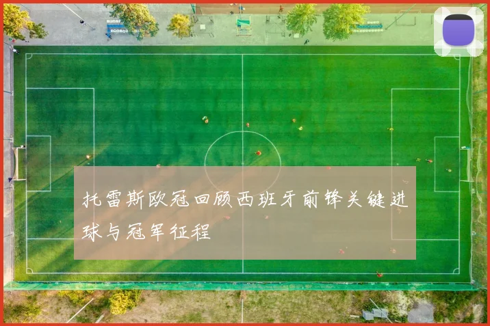 托雷斯欧冠回顾西班牙前锋关键进球与冠军征程