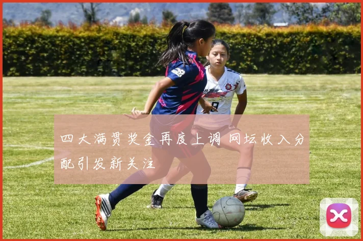 四大满贯奖金再度上调 网坛收入分配引发新关注
