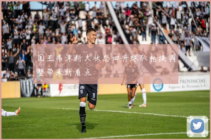 国王韦津科夫状态回升球队轮换调整带来新看点