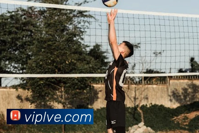 leyu乐鱼手机官网入口品牌故事