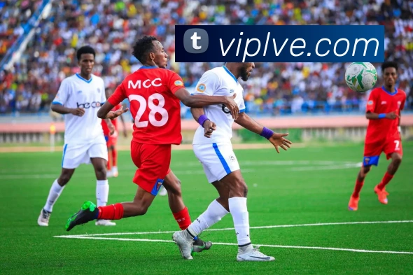 leyu乐鱼手机官网入口服务体系